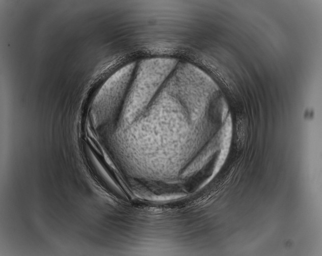 X0000097890494200804041313