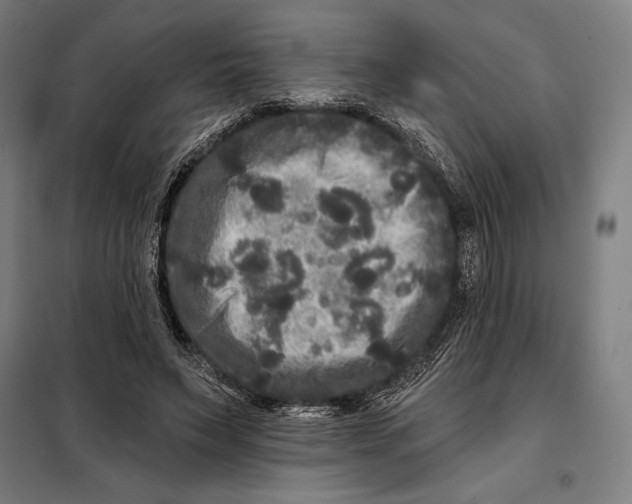 X0000097890495200804041313