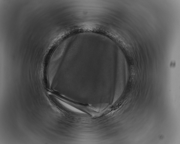 X0000097890496200804041313