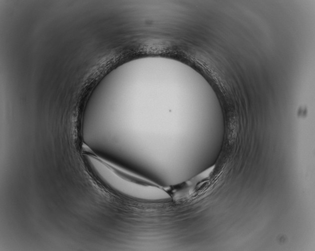 X0000097890497200804041313