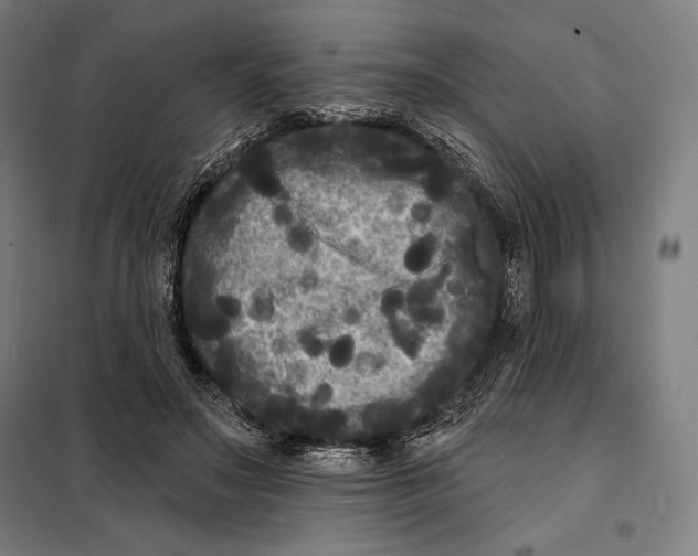 X0000097890499200804041313