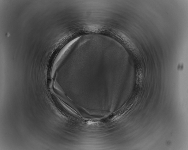 X0000097890500200804041313