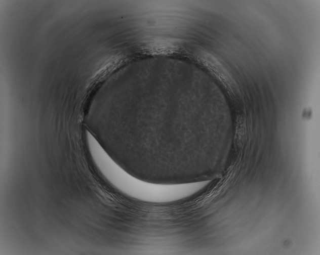 X0000097890501200804041313