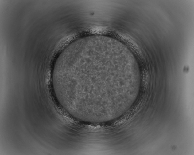 X0000097890502200804041313