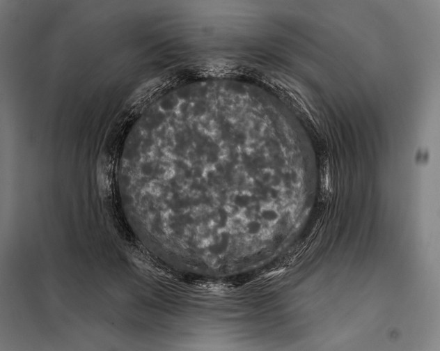 X0000097890503200804041313