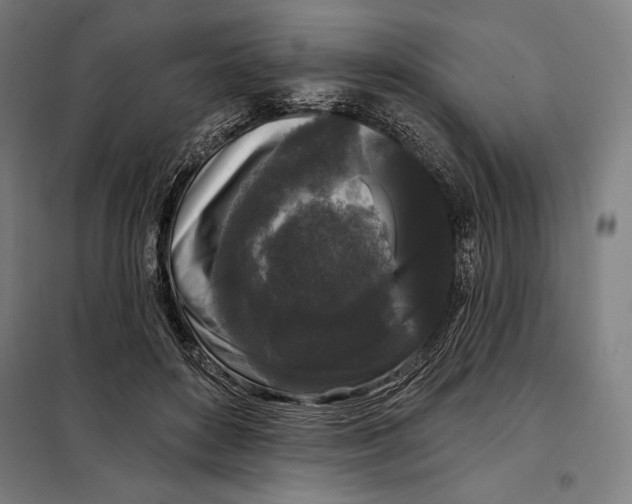 X0000097890504200804041313