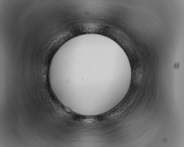 X0000097890505200804041313