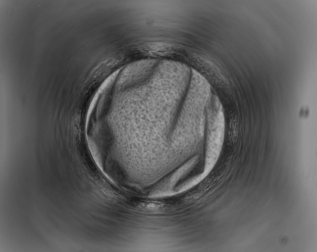 X0000097890506200804041313