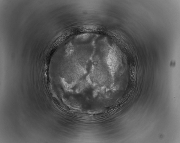 X0000097890507200804041313