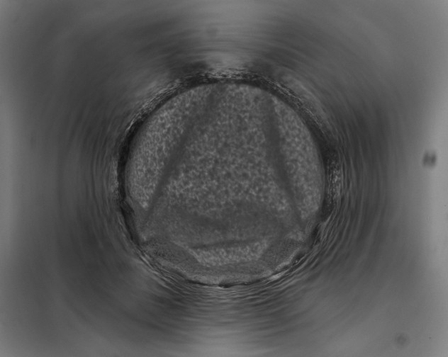 X0000097890508200804041313