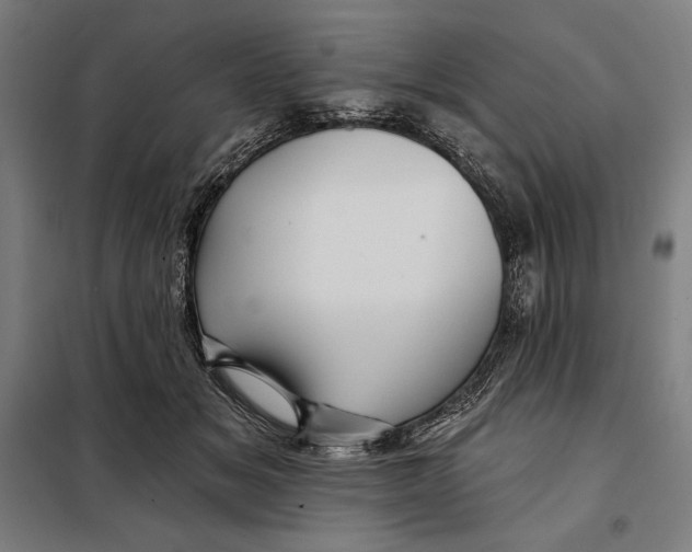 X0000097890509200804041313