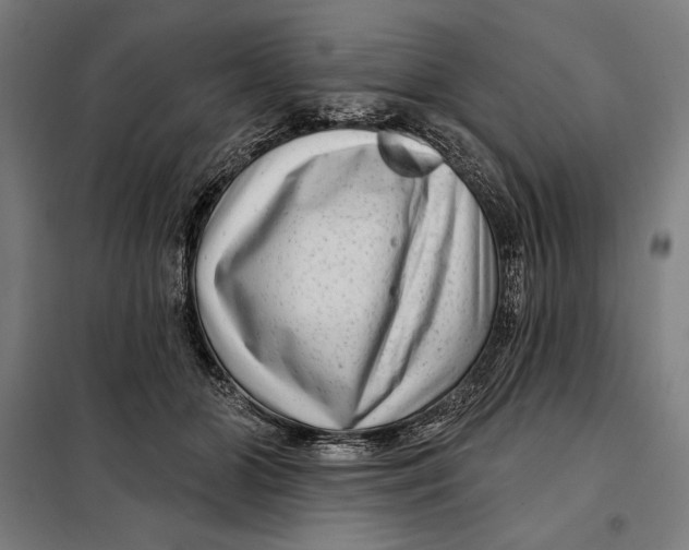 X0000097890510200804041313