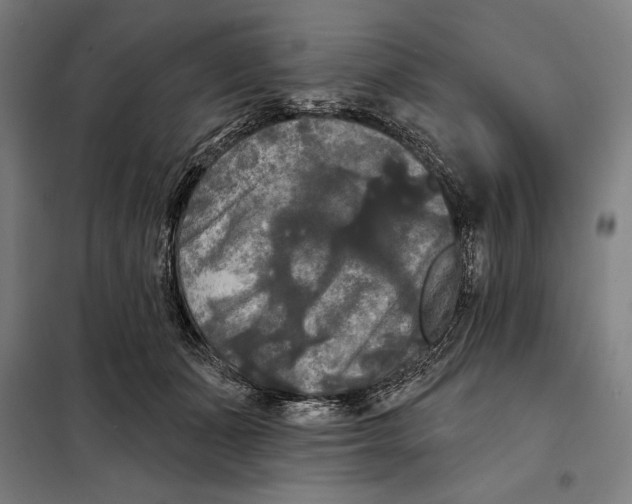 X0000097890511200804041313