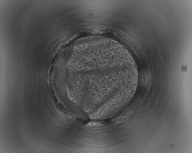 X0000097890512200804041313