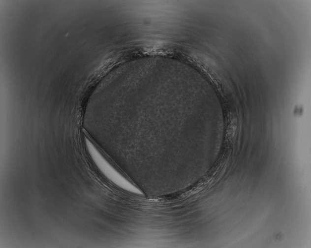 X0000097890513200804041313