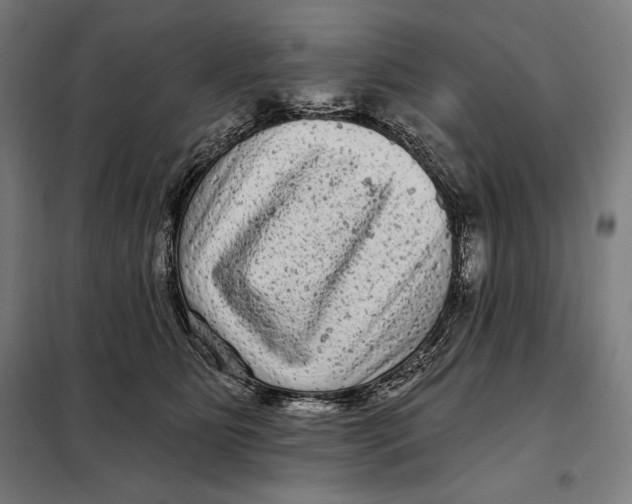 X0000097890515200804041313