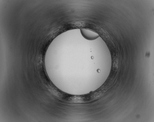 X0000097890518200804041313