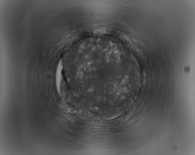 X0000097890519200804041313