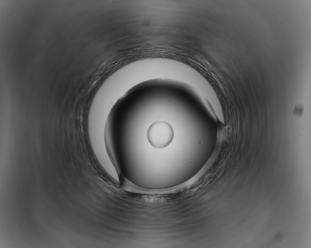 X0000097890520200804041313