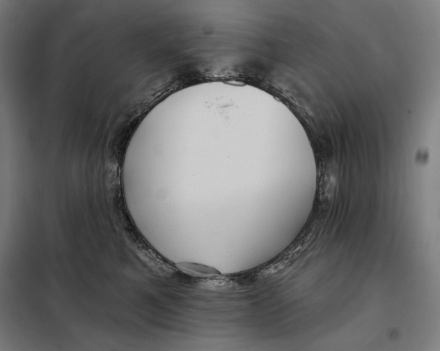 X0000097890521200804041313