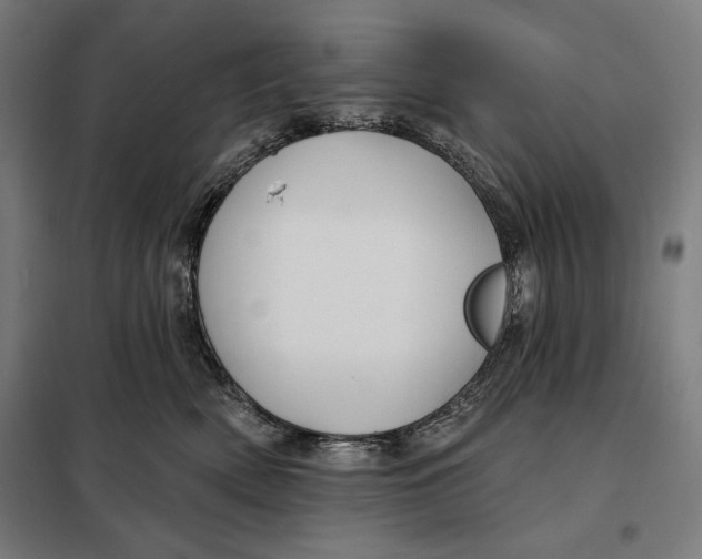 X0000097890522200804041313