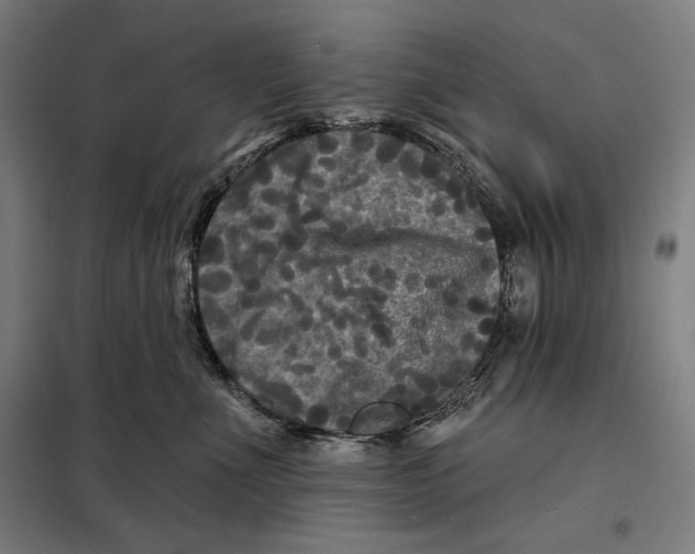 X0000097890523200804041313