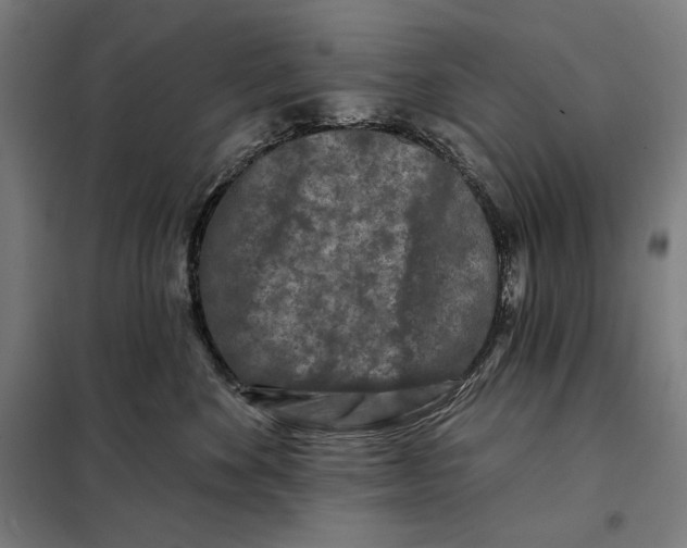 X0000097890524200804041313