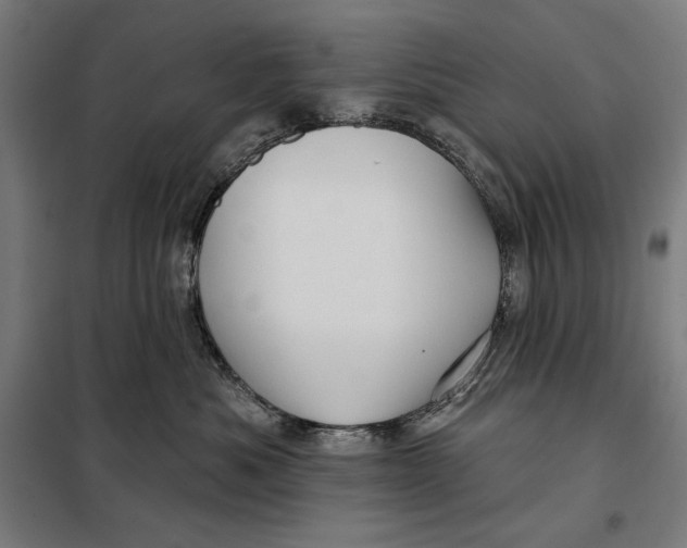 X0000097890525200804041313