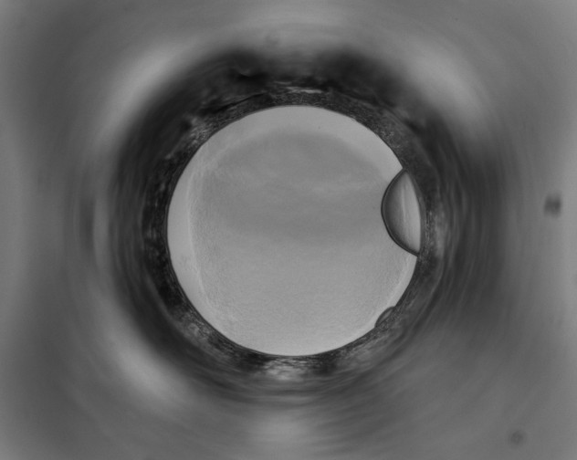 X0000097890526200804041313