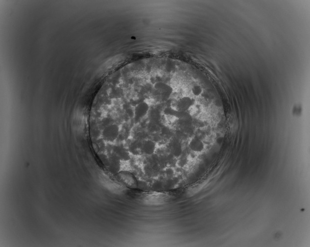 X0000097890527200804041313