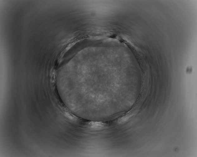 X0000097890528200804041313