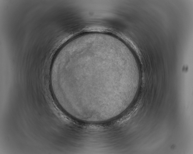 X0000097890529200804041312