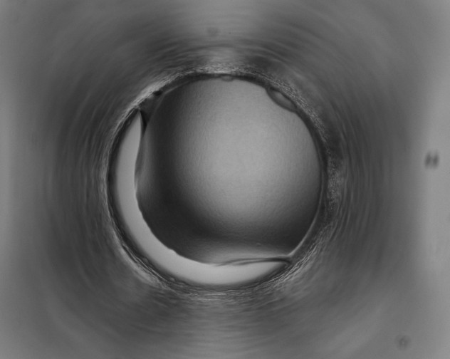 X0000097890530200804041312