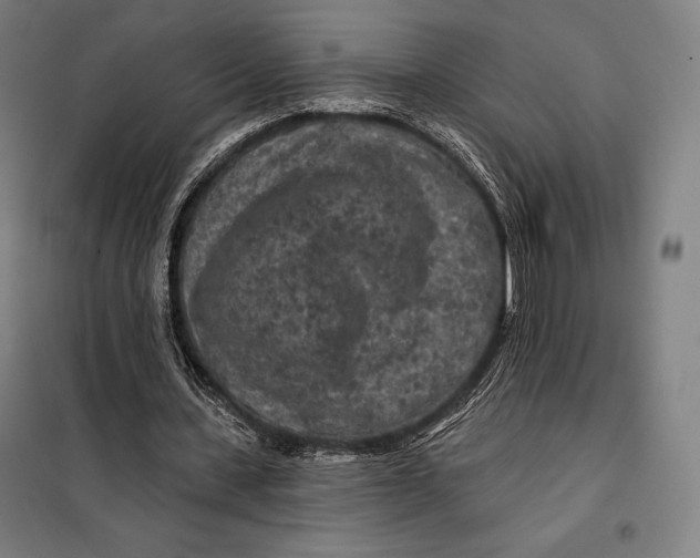 X0000097890531200804041312