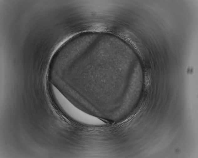 X0000097890532200804041312