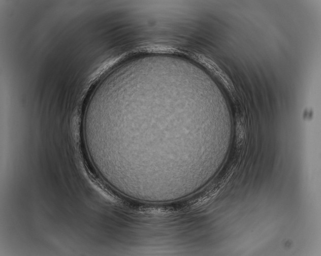 X0000097890533200804041312