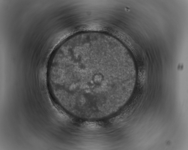 X0000097890534200804041312