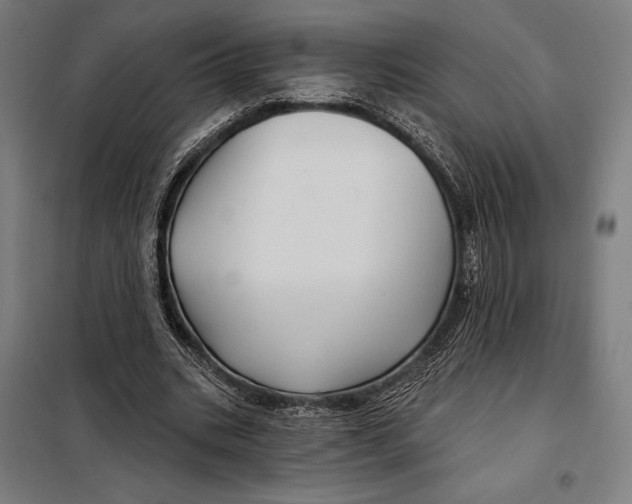 X0000097890535200804041312