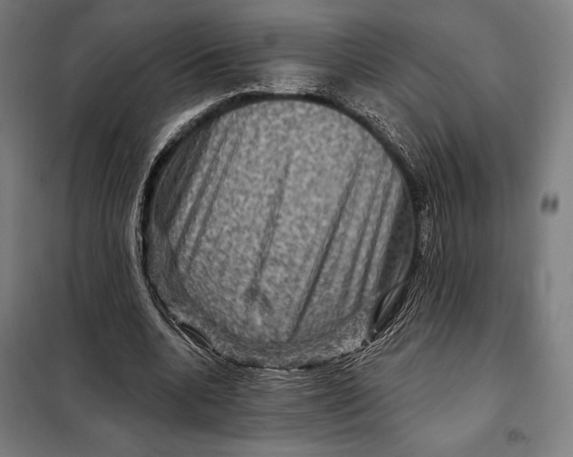 X0000097890536200804041312