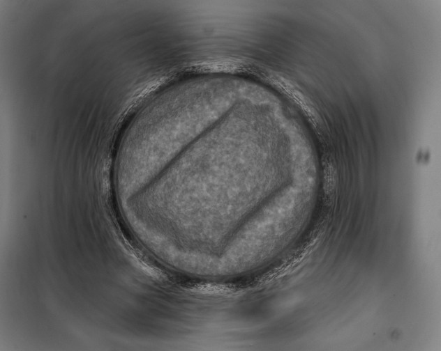 X0000097890537200804041312