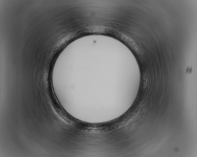 X0000097890538200804041312