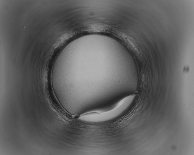 X0000097890539200804041312