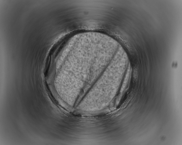 X0000097890540200804041312