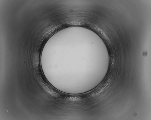 X0000097890541200804041312