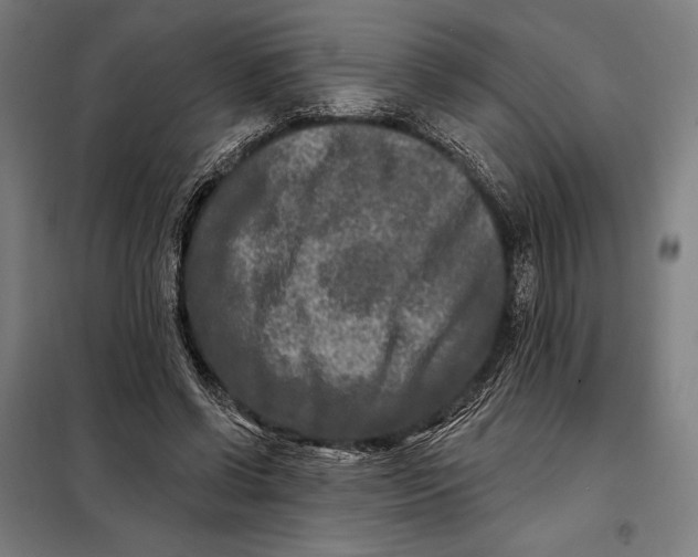 X0000097890542200804041312