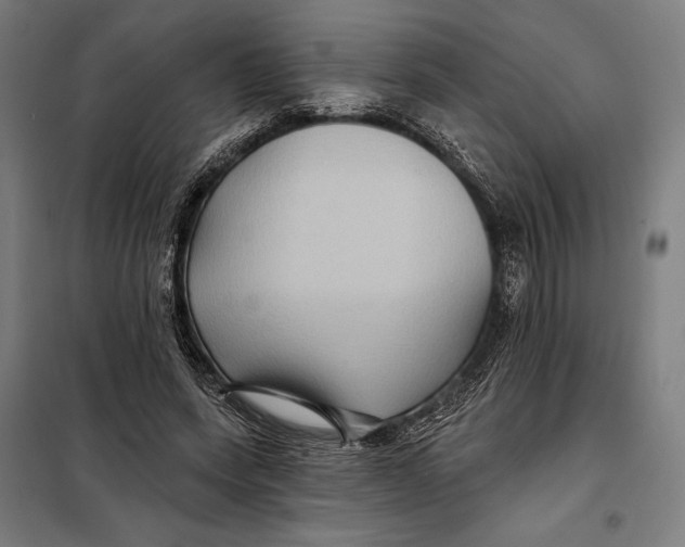 X0000097890543200804041312