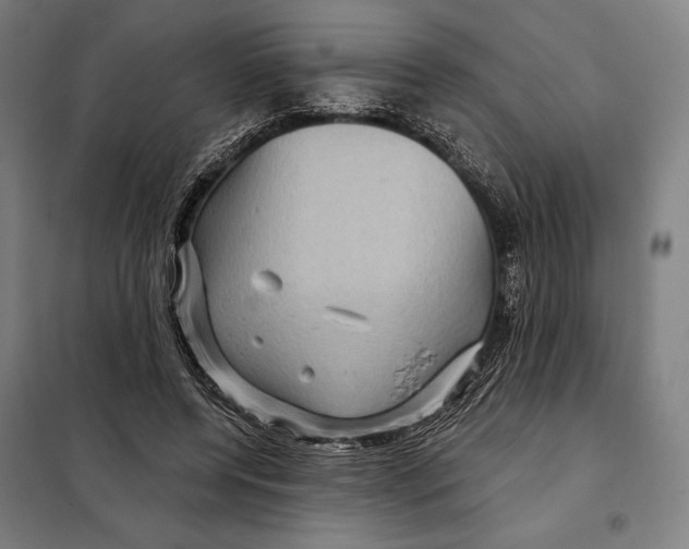 X0000097890544200804041312