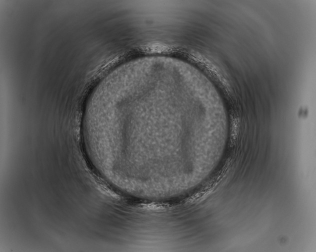 X0000097890545200804041312