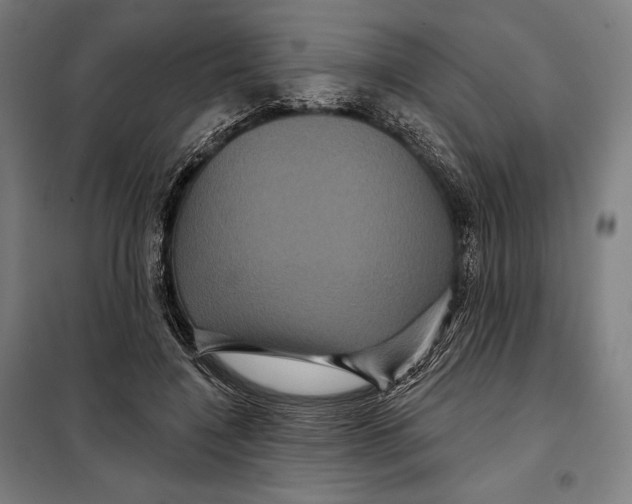 X0000097890548200804041313