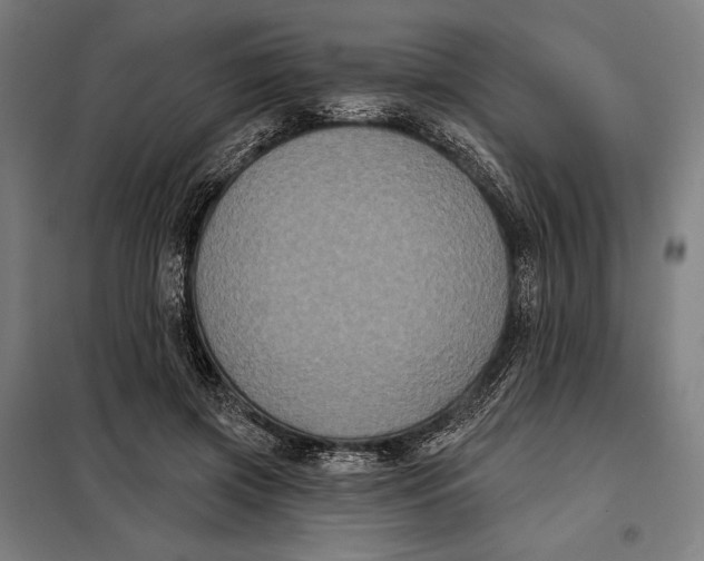 X0000097890549200804041313